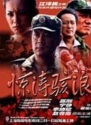 51ⅴ精品国产91久久久久久